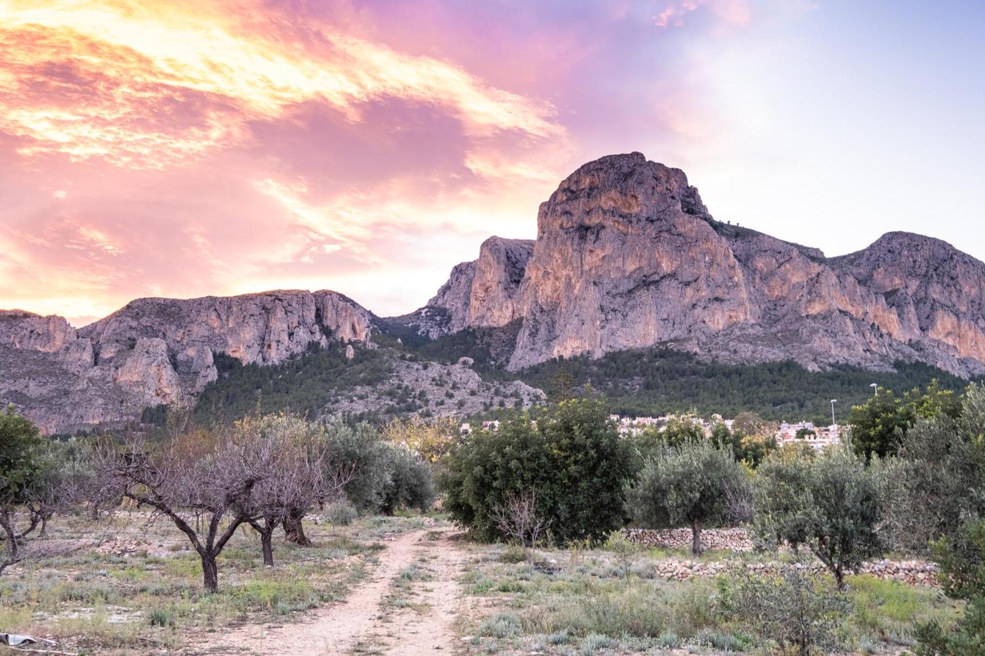 Appartement Aventino Albir 阿尔比尔 外观 照片