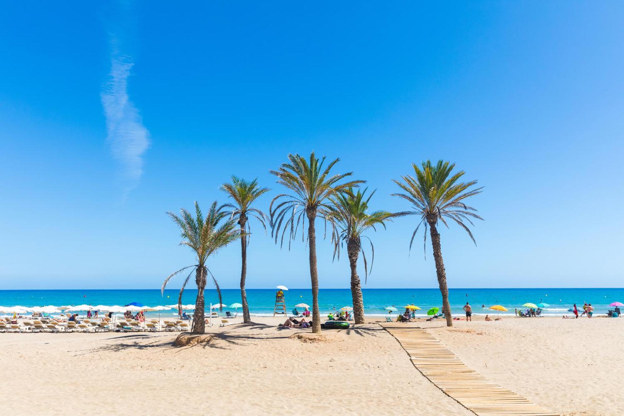 Appartement Aventino Albir 阿尔比尔 外观 照片